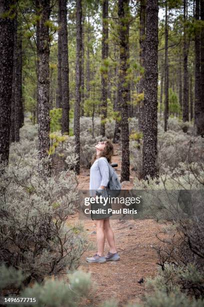 lateral view of hiker woman looking at the trees and enjoying healthy walks into the woods, gran canaria, spain - gran canaria bildbanksfoton och bilder
