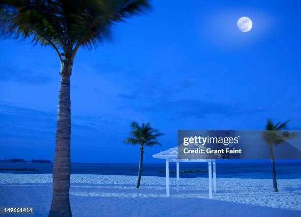 moonrise over beach at night, nassau - cable beach bahamas stock pictures, royalty-free photos & images