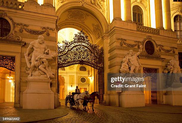 evening at the hofburg palace entrance - royal carriage stock pictures, royalty-free photos & images