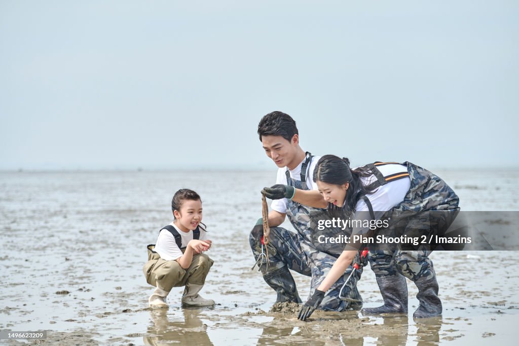 South Korea, tidal flat, dad, child, girl