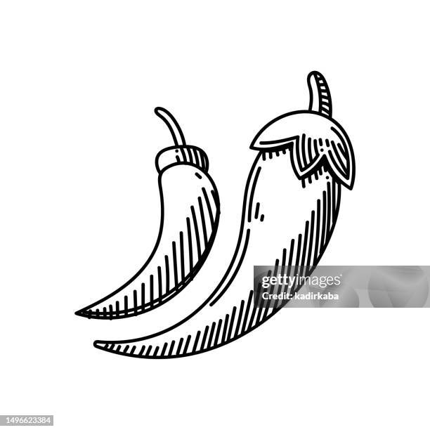 chili pepper line icon, sketch design, pixel perfect, editable stroke. logo, sign, symbol. vegetable, vegetarian, organic. - vegetarian chili stock illustrations