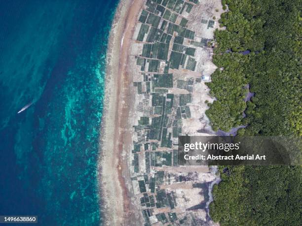 coastal scene showing the ocean, seaweed farms and mangroves shot from a drone perspective, nusa lembongan, bali, indonesia - indian ocean stock pictures, royalty-free photos & images