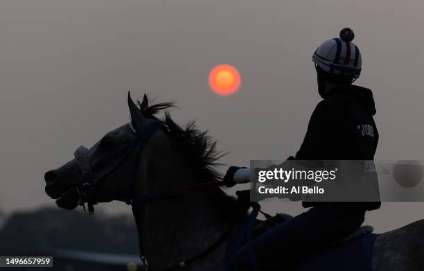 An exercise rider and horse train during a sunrise tinted by the Canadian wildfire during a morning workout prior to the 155th running of the Belmont...