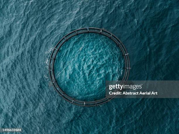 drone image directly above a circular shaped fish farm in the indian ocean, buleleng, bali, indonesia - values concept stock pictures, royalty-free photos & images
