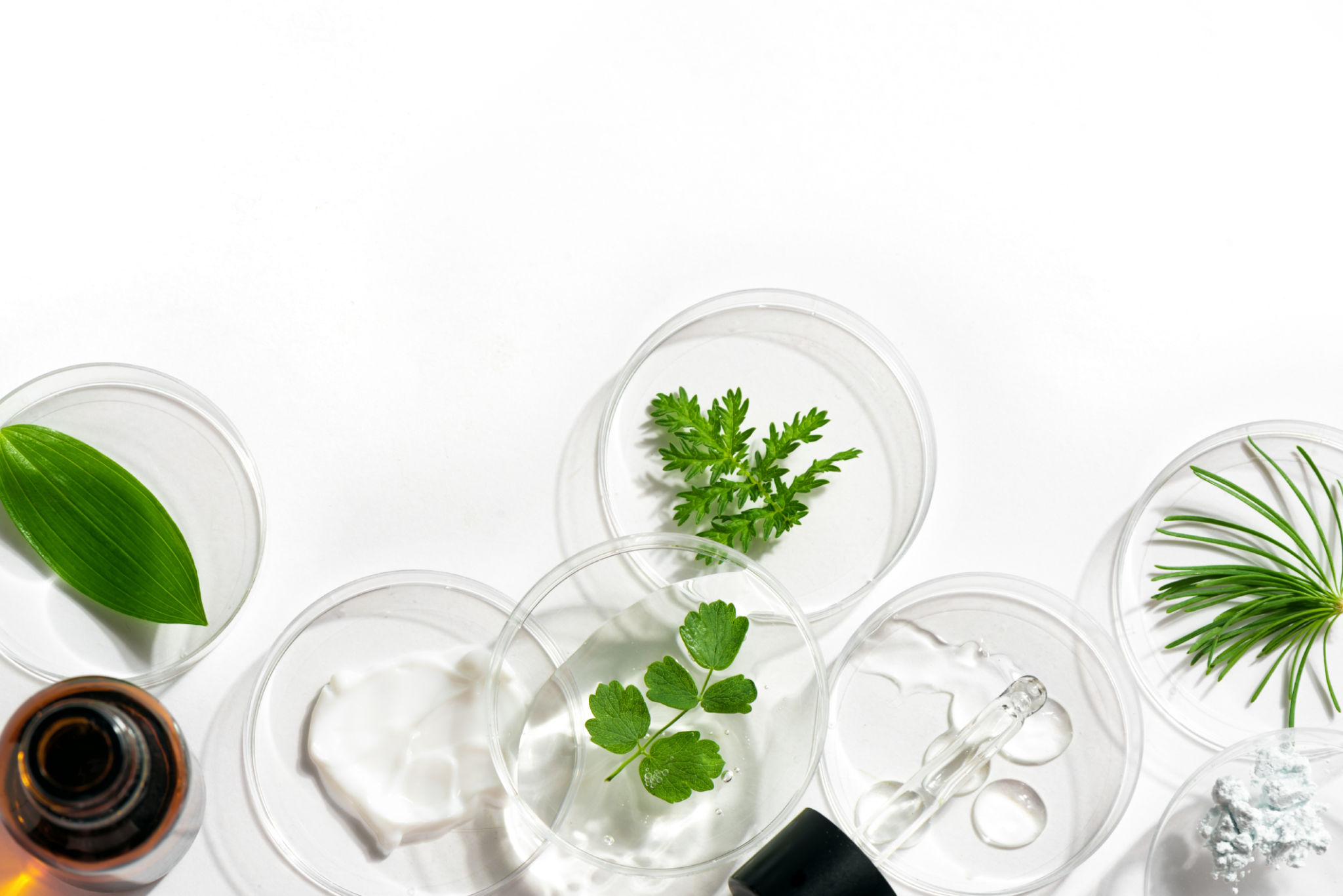 vegan skincare