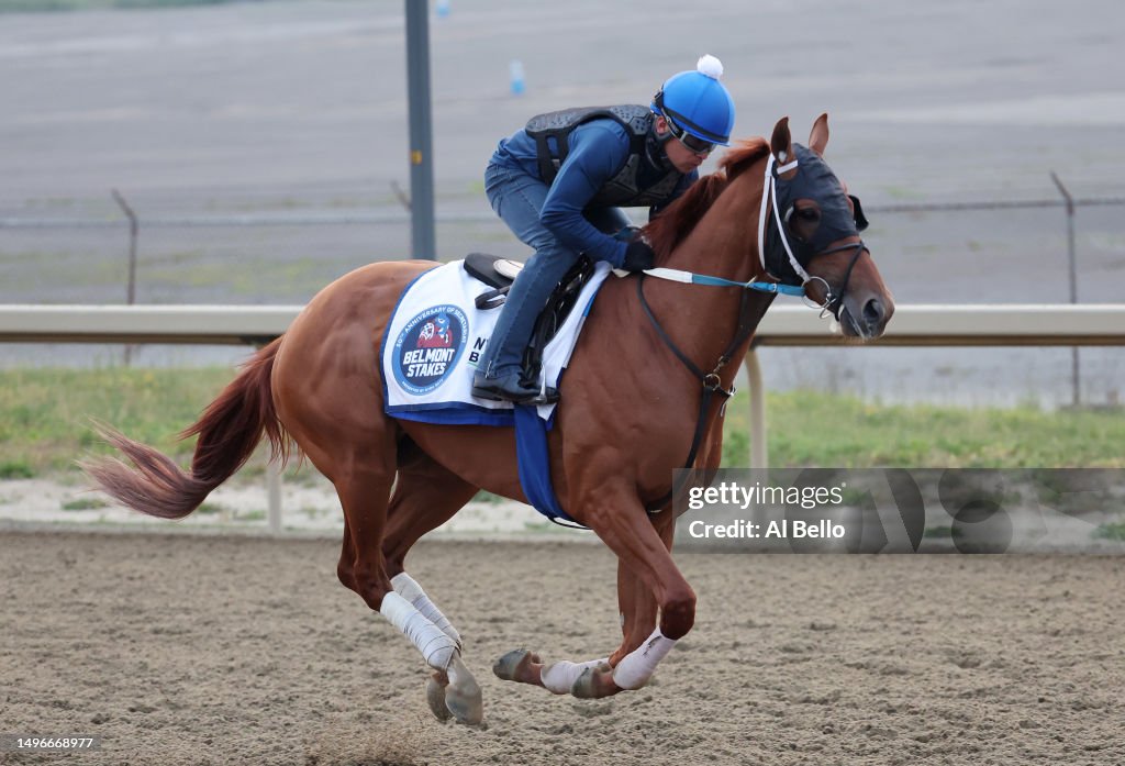 Red Route One Red Route One trains on the track during morning workouts prior to ...