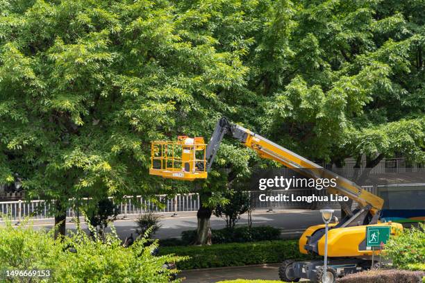 a construction truck for pruning branches - tree service stock pictures, royalty-free photos & images