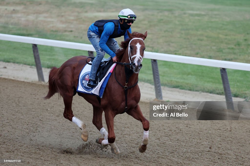 Talpit Raced Tapit Shoes trains on the track during morning workouts prior to the ...