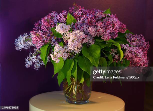 close-up of flower vase on table,sweden - purple lilac stock pictures, royalty-free photos & images