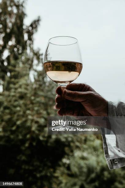 a glass of white wine in male hands. - wine glass finger food stock-fotos und bilder