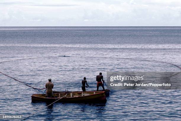 Fishermen on rowing boats use a seine net to catch fish in the waters of the Caribbean Sea off the coast of the island country of Dominica in the...