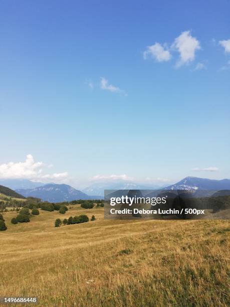 scenic view of field against blue sky,provincia autonoma di trento,italy - provincia di trento stock-fotos und bilder