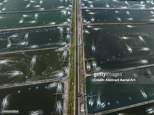 aerial perspective showing desalination ponds, bali, indonesia - desalination stock pictures, royalty-free photos & images