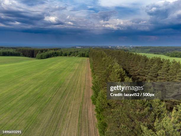 scenic view of agricultural field against sky,nizhny novgorod oblast,russia - nizhny novgorod oblast stock-fotos und bilder