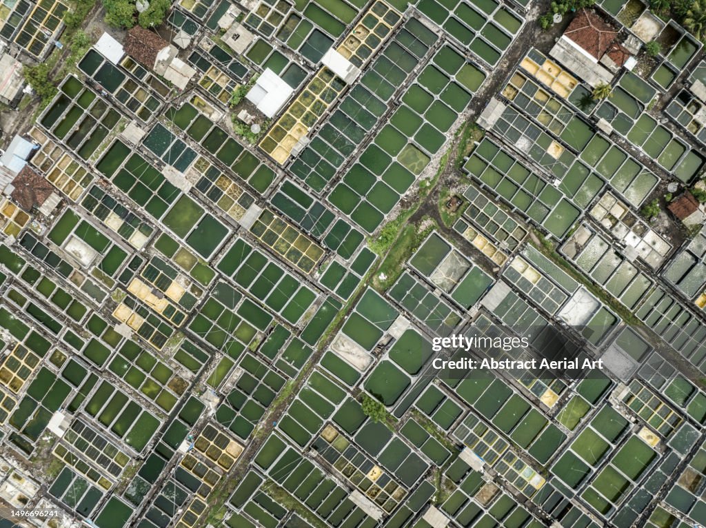 Drone image directly above fish farming ponds, Bali, Indonesia