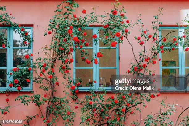 Rose House Photos and Premium High Res Pictures - Getty Images