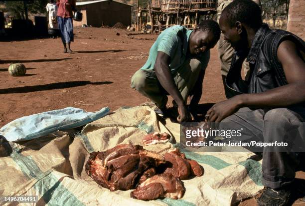 Meat from a butchered hippopotamus is cut up prior to being distributed to villagers at Sadinda in Zimbabwe, Africa in 1996.