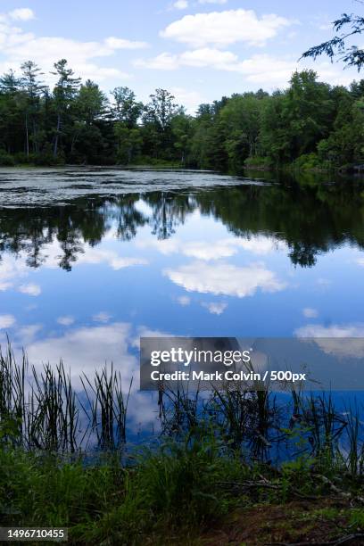 scenic view of lake against sky - mark colvin stock pictures, royalty-free photos & images