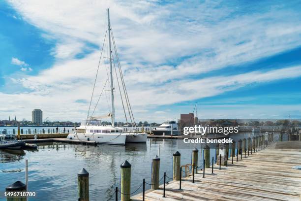 norfolk virginia usa harbor sailboat - norfolk virginia bildbanksfoton och bilder