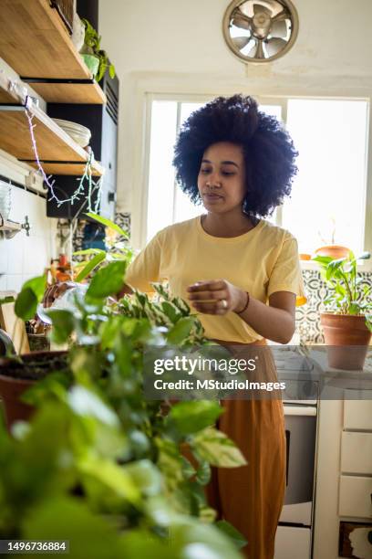 latin woman taking care of plants - latin beauty stockfoto's en -beelden