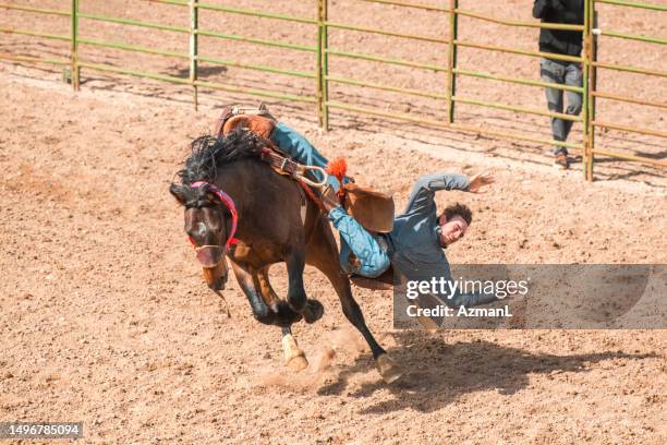 Bull Rider Falling Off 496 Bull Rider Saddle Stock Photos, High-Res Pictures, and Images ...