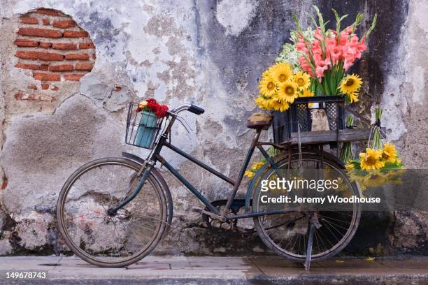 bicycle with flowers in basket - bike flowers stock-fotos und bilder