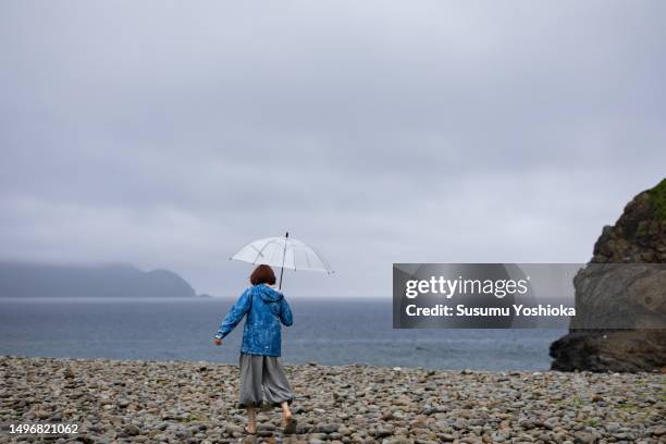 a woman sightseeing with an umbrella on a rainy day in a travel destination. - 鹿児島県 stockfoto's en -beelden