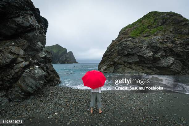 a woman sightseeing with an umbrella on a rainy day in a travel destination. - 鹿児島県 stock pictures, royalty-free photos & images