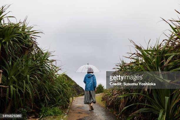 a woman sightseeing with an umbrella on a rainy day in a travel destination. - 鹿児島県 fotografías e imágenes de stock