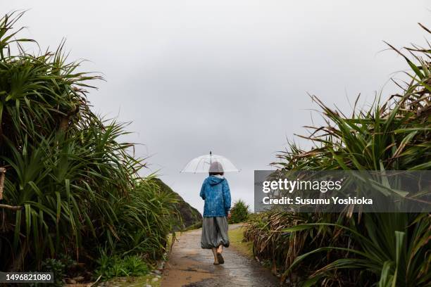 a woman sightseeing with an umbrella on a rainy day in a travel destination. - 鹿児島県 stock pictures, royalty-free photos & images