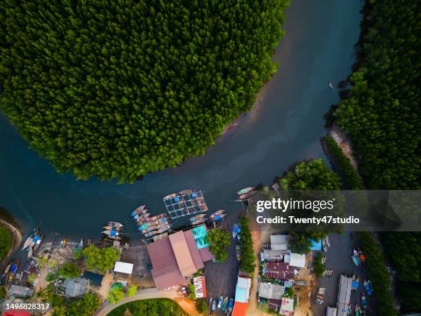 aerial view of a fisherman's village in a mangrove forest - fisherman isolated stock pictures, royalty-free photos & images