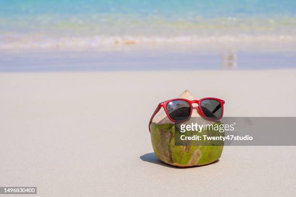 a fresh coconut with a sunglass on the beach - coconut water isolated stock pictures, royalty-free photos & images