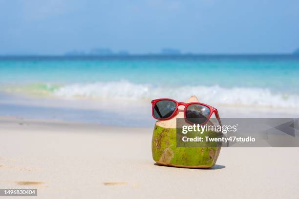 a fresh coconut with a sunglass on the beach - coconut water isolated stock pictures, royalty-free photos & images