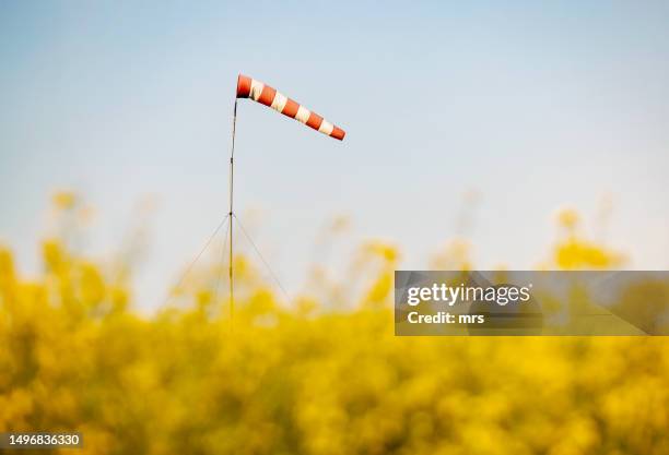 striped windsock in wind - weather vane stock pictures, royalty-free photos & images