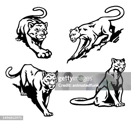 Bold Cougar Illustrations Bold Cougar Illustrations