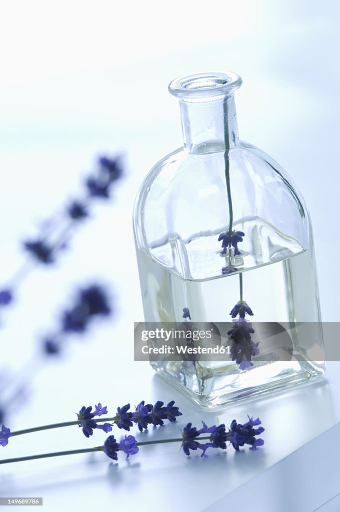 Lavender oil in bottle with flower, close up