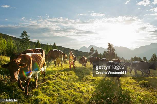 austria, salzburg county, young woman walking in alpine meadow with cows - cow stock-fotos und bilder