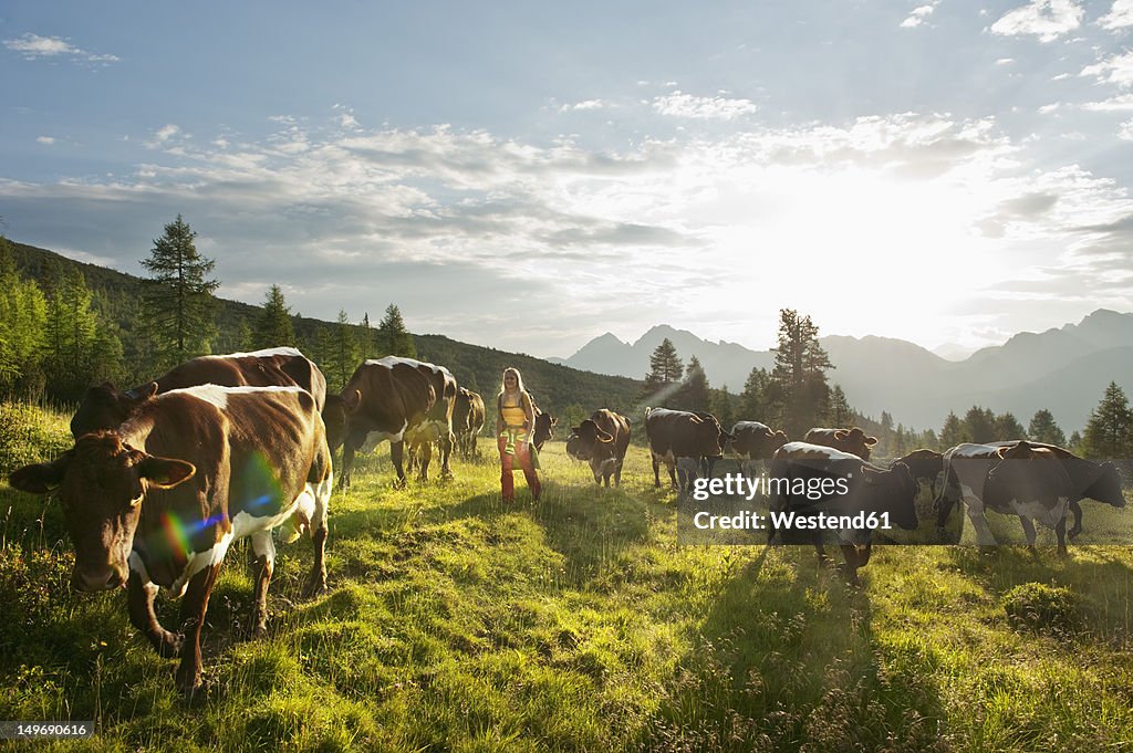 Austria, Salzburg County, Young woman walking in alpine meadow with cows