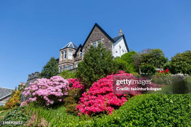 104 Garden Scape Stock Photos, High-Res Pictures, and Images