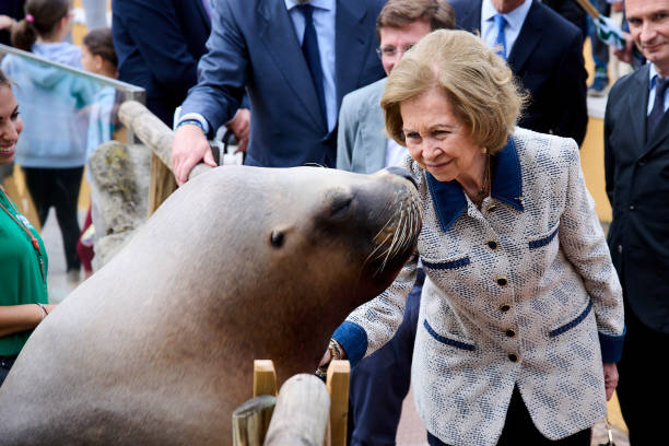ESP: Queen Sofia Visits The Madrid Zoo For World Day Of The Seas And Oceans