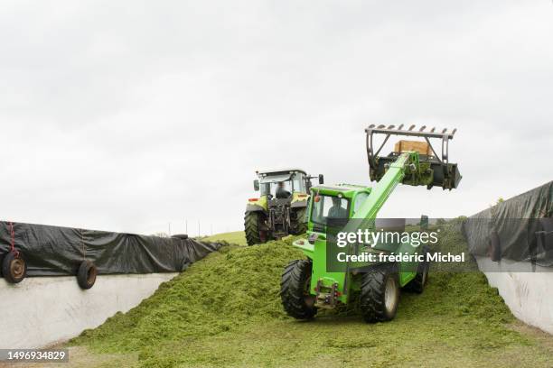two tractors tamp the grass in a silo - michel field stockfoto's en -beelden