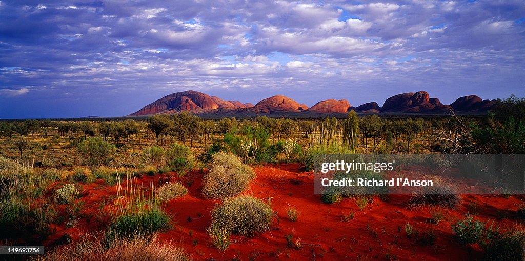 Kata Tjuta (Olgas) at sunrise.