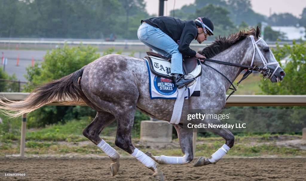 Talpit Raced Racehorse Tapit Trice out for his workout during Belmont Stakes week ...