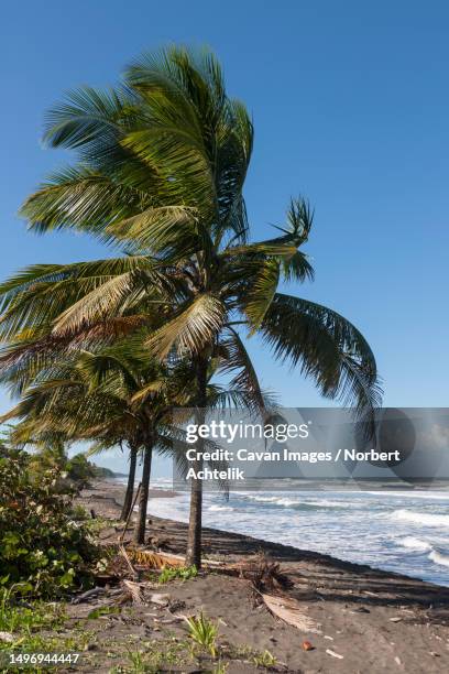 Samara Insel 63 Samara Island Stock Photos, High-Res Pictures, and Images - Getty Images