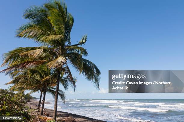 Samara Insel 63 Samara Island Stock Photos, High-Res Pictures, and Images - Getty Images