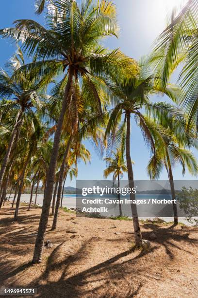 Samara Insel 63 Samara Island Stock Photos, High-Res Pictures, and Images - Getty Images