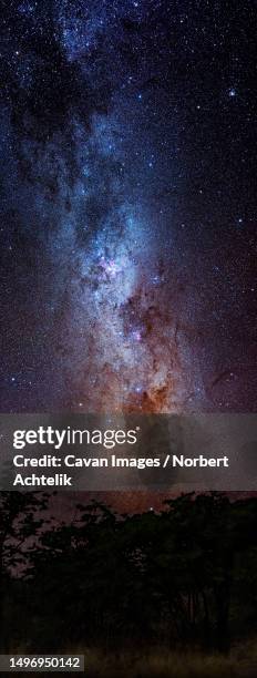 milky way, etosha national park, namibia, africa - namibia sternenhimmel stock-fotos und bilder