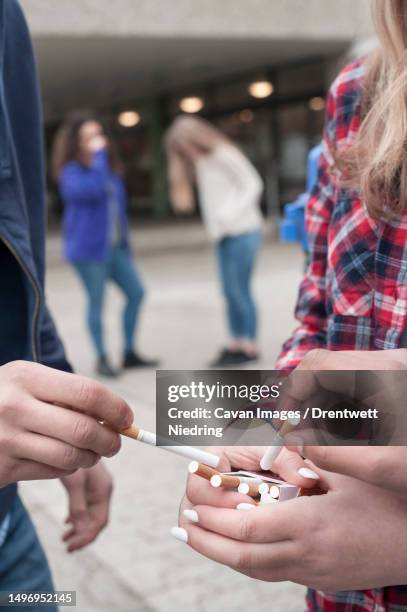 university students smoking cigarettes in campus, bavaria, germany - boys smoking cigarettes stock pictures, royalty-free photos & images