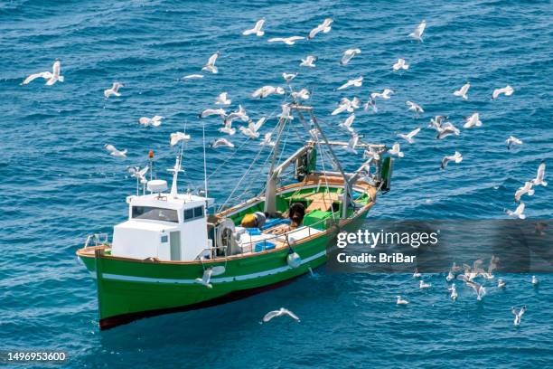 barco de pesca rodeado de gaviotas - barco pesquero fotografías e imágenes de stock