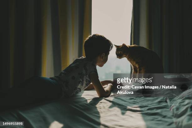 the boy and the cat lie on the bed and look at each other - pet heaven stock pictures, royalty-free photos & images